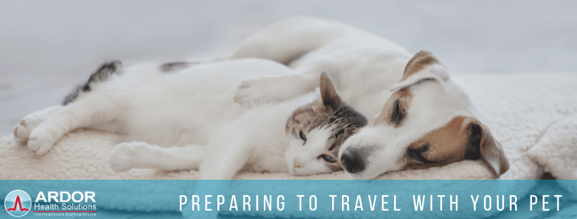 Preparing-to-travel-with-your-pet