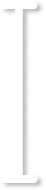 Group 1000005442
