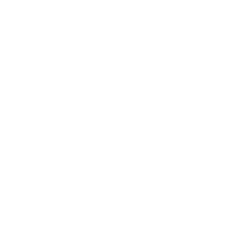6b525dff3d418e8aaf7dbce520f1ec68